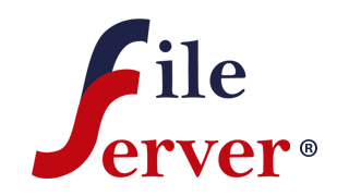 logo File Server